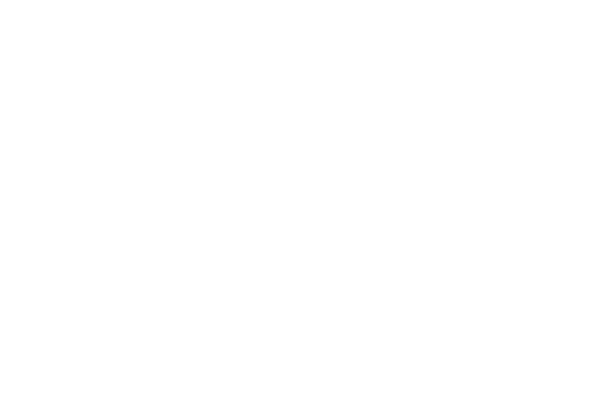 Fidely Box - Client - Periskop