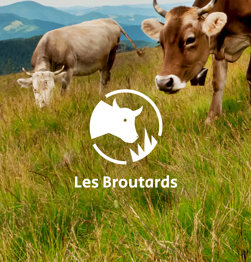 Les Broutards - Identité visuelle - Logo - Graphisme - Ecologie - Economie - Production locale - Periskop - Agence de communication - Studio graphique - 1